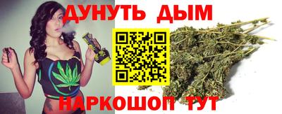 гидра Аша