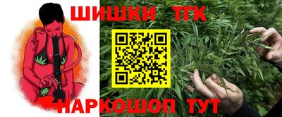 гидра Аша