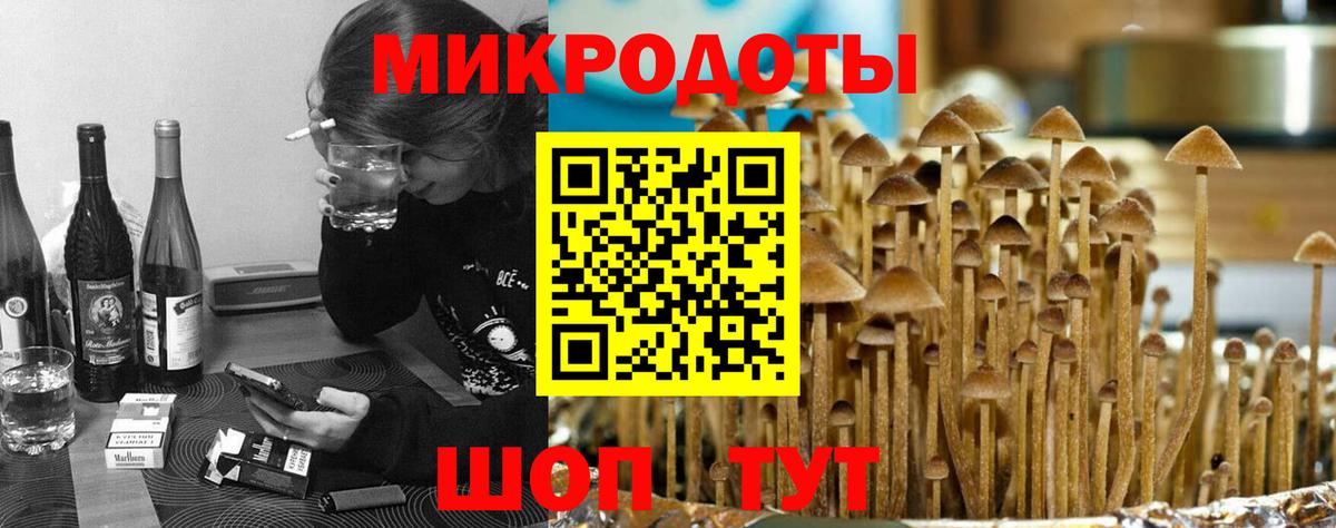 Псилоцибиновые грибы Cubensis Керчь