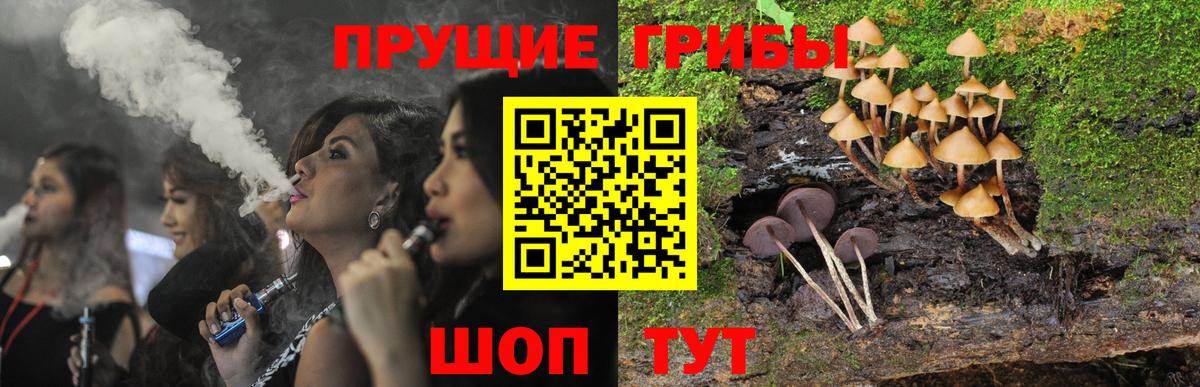 Галлюциногенные грибы Magic Shrooms  Галлюциногенные грибы MAGIC MUSHROOMS  Керчь  Вход с VPN 